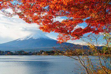 Rhythm of Autumn: Red Maple leaves Sparkling in Sunlight by lakeshore before Mount Fuji
