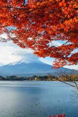 Rhythm of Autumn: Red Maple leaves Sparkling in Sunlight by lakeshore before Mount Fuji
