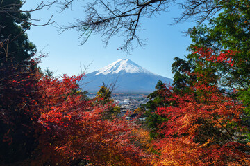 Rhythm of Autumn: Distant View of Mount Fuji through Red Leaves