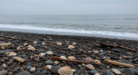 Coastal scene: Overcast sky over a rocky beach with shells, pebbles, and gentle ocean waves