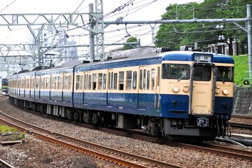 Obraz premium 新子安駅を通過する115系車両