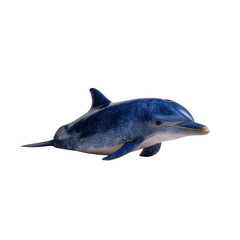 A playful dolphin swimming gracefully in the ocean, showcasing its vibrant blue skin and friendly demeanor. A symbol of intelligence and joy in marine life.