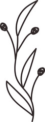Simple Botanical Line Drawing