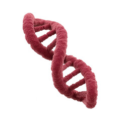 A stylized representation of a DNA double helix, showcasing intricate details and texture on a white isolated background.