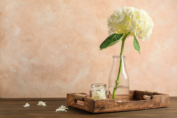 Bottle with white hydrangea flower on wooden table against beige grunge wall