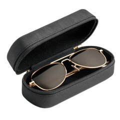 Stylish Sunglasses in a Black Protective Case for Fashion Lovers