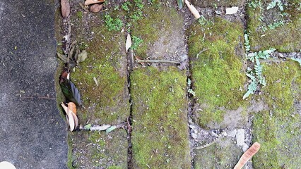 Detailed Shot of Old Brickwork Partially Covered in Bright Green Moss, Showing Natural Decay