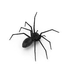 Black Spider Isolated on Transparent Background