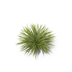 Green Grass Bush Isolated on Transparent Background