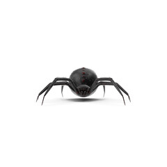 Black Widow Spider Isolated on Transparent Background