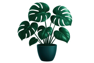 Lush monstera deliciosa plant adding a touch of green to any design with its transparent background