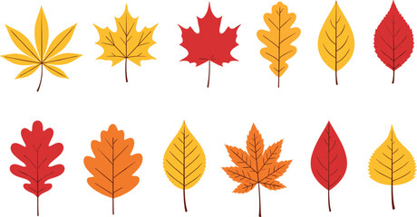 Fototapeta premium Adobe Illustrator Artwork