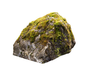 stone overgrown with moss in winter is isolated on a white background