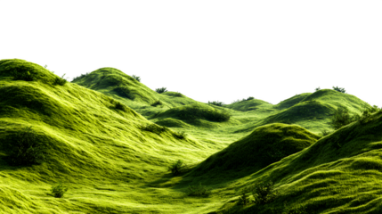 Hilly green grass landscape, panoramic view, isolated on white