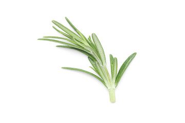 Fototapeta premium Fresh rosemary twig isolated on white background, closeup