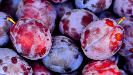 Macro shot of a fresh grape captures the fruit up close and in exceptional detail for background 