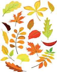Fototapeta premium Autumn leaves.eps