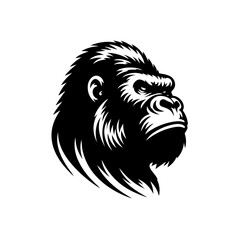 Fototapeta premium Gorilla head portrait illustration isolated on white background