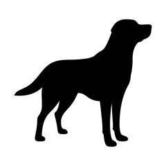 Black dog silhouette vector illustration for pet lovers and dog breed enthusiasts design needs