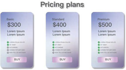 website price table concept