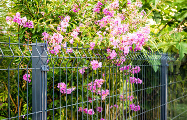 grating wire industrial fence panels. Panel fence

