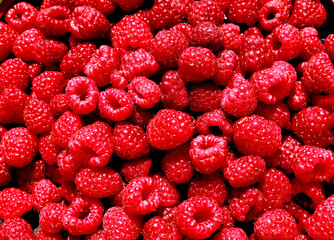 close up of raspberries