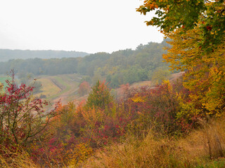 Autumn colours in the hills of Mures County in Transylvania