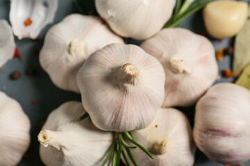 Fresh garlics and rosemary on grey background, closeup