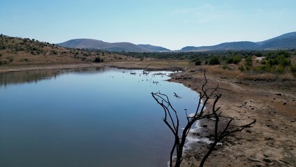 Wildlife Skyline In Rustenburg North West South Africa. African Big Five Animals In The Stunning Safari. Nature Clouds Sky Sky Forest. Nature Panoramic. Rustenburg North West.