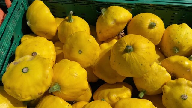 Abundant Yellow Pattypan Squash Overflowing a Green Crate, Freshly Harvested at a Farmers Market, Bathed in Bright Sunlight.