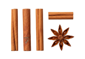 Three textured reddish-brown cinnamon sticks and one dark brown eight-pointed star anise pod with seeds, ultra-realistic top-down view on a transparent background with negative space, bright studio