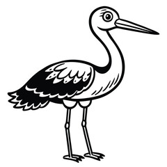 Obraz premium Wading bird with long beak isolated on white background