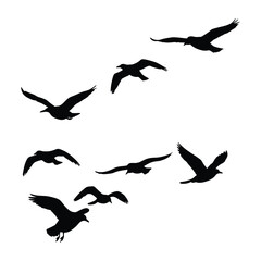 Silhouette of Birds Flying in Formation Against a White Background
