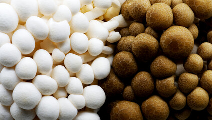 Macro image of White Shimeji and Brown Shimeji together in the frame. Fill the frame with mushroom.