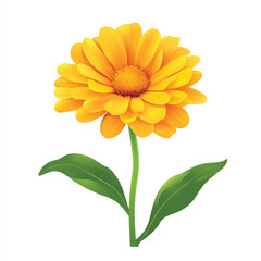 Obraz premium a calendula flower