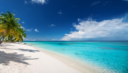 tropical paradise sun kissed white sand beach with turquoise ocean palm trees and blue sky scene for relaxation and coastal bliss
