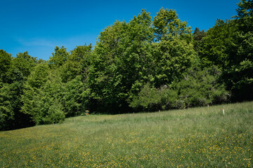 discgolf course in europe