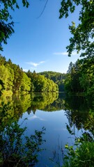 Serene lake reflecting a forest