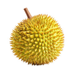 Round, spiky fruit, yellow-gold hue, stem attached