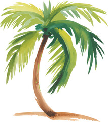 Watercolor painting of a single palm tree with a curved brown trunk and sunlit green fronds on a white background, minimalist style

