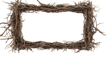 hd realistic picture frame made of twigs and roots isolated on white
