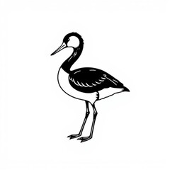 Fototapeta premium Clarks Grebe Animal Icon