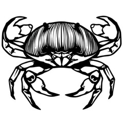 Coconut Crab Animal Icon