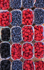 Array of containers of fresh berries at the farmers market