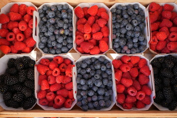 Array of containers of fresh berries at the farmers market