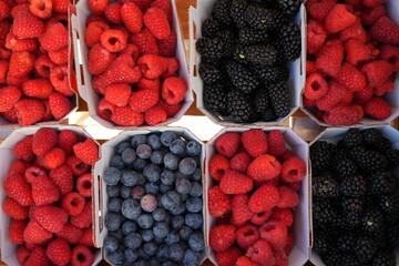 Array of containers of fresh berries at the farmers market
