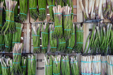 Bunches of white asparagus with purple tips and green asparagus at a French farmers market