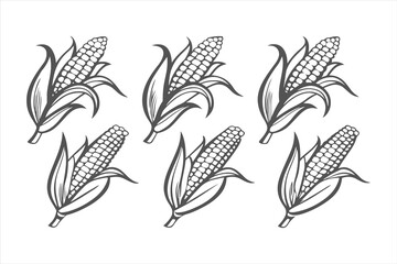 Fototapeta premium Hand-drawn corn on the cob sketch set. Black and white illustration of maize ears isolated on a white background.