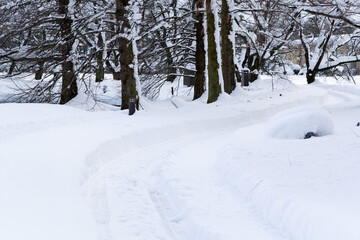 Snowy roads and ruts in a winter forest