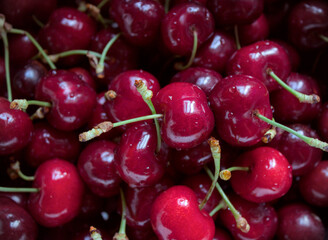 Close-up of harvested cherries